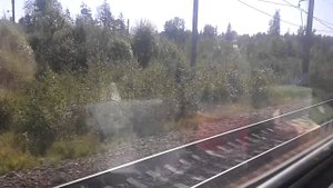 Проследование станции Колчаново