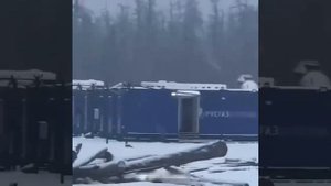 В Якутии медведь напал на двух рабочих на Чаяндинском месторождении