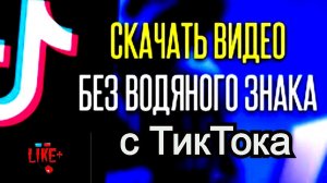 Как скачать видео из тик тока на компьютере простой способ