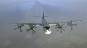 Николай Анисимов - Медведи