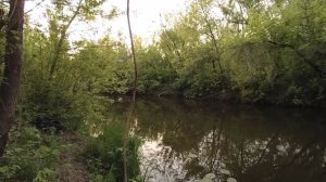Рыбалка на сома в начале июня. Восьмой и девятый вечер.