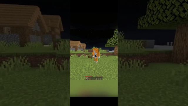 играю со своей нейросетью