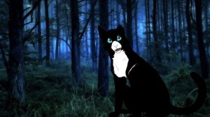 Лунное племя . Коты - воители. Чёрноглазка кв