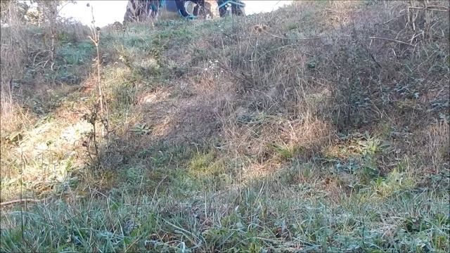 Сибирь 2х2 м5 прогулка по осеннему лесу