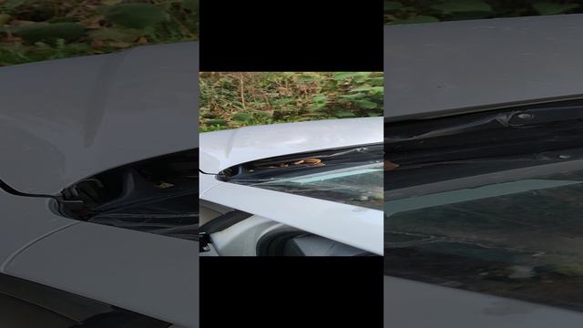 1000005192.mp4