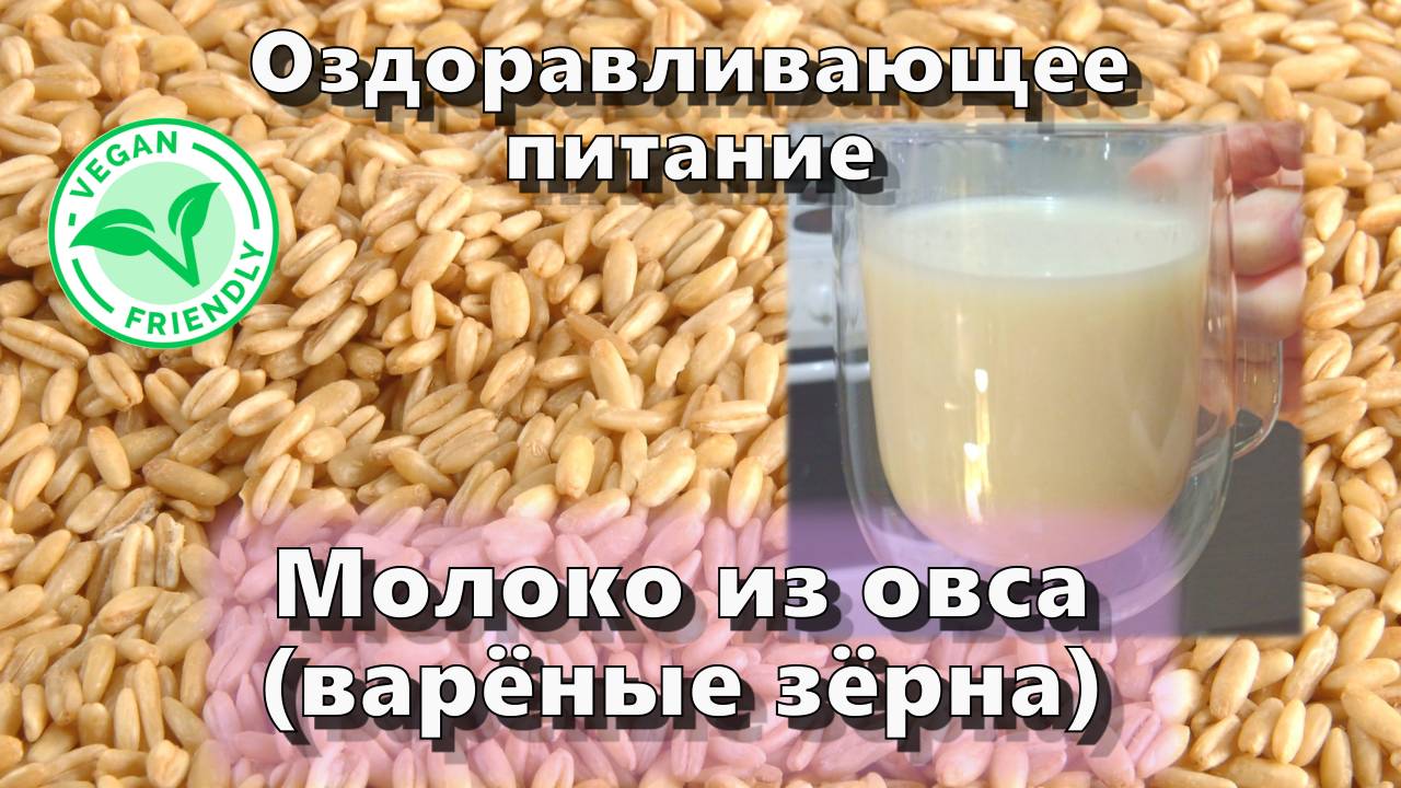 Молоко из овса (варёные зёрна) — Рецепты — Оздоравливающее питание
