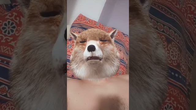 нежданчик🎇