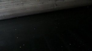 Стигийский каботаж