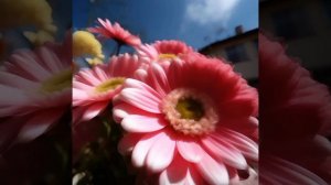 С днем рождения