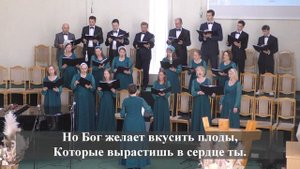 " Воскресный радостный Жатвы день"./Хор 2 МЦ ЕХБ/