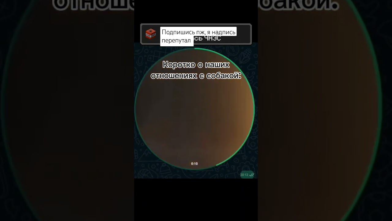 #скуфокат #мем #part3 #brawlstars #майнкрафт #part2 #whoosh #смешарики #シ #бравлстарс