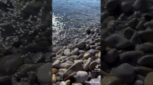 рябиновые бусы