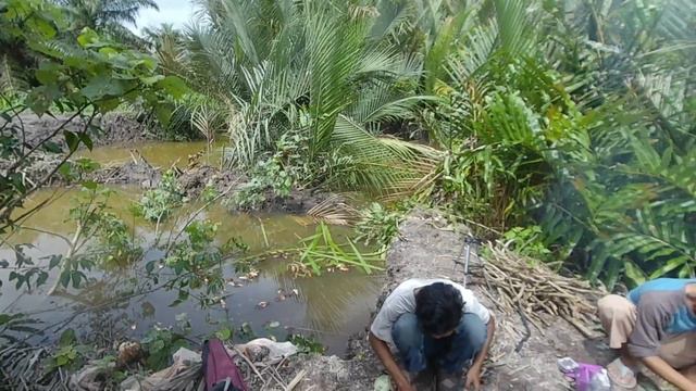 Kolak Buah Nipah