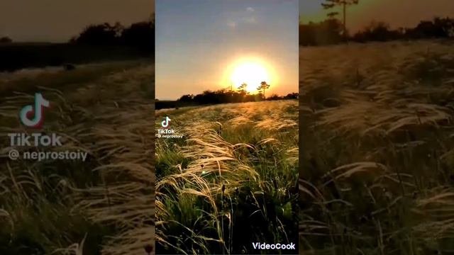 многоголосье