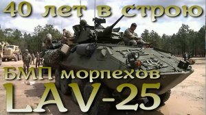 40 лет на службе морпехов: Lav-25