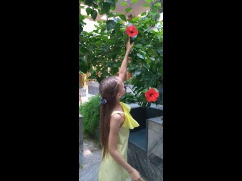 Великий австрийский композитор смотреть онлайн