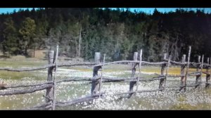 "Дьалах кэпсээннэрэ" Саха дьарыгын туһунан 1 кэпсээн