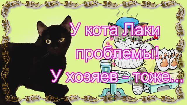 У кота Лаки проблемы. У хозяев тоже.