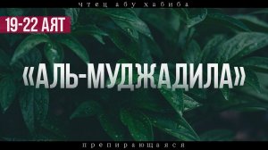 Сура 58 "Аль-Муджадила" 19-22 аят Абу Хабиба