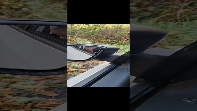 1000005189.mp4