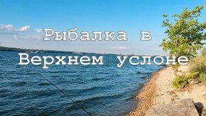 Рыбалка в Верхнем Услоне на Волге в середине июля 2024