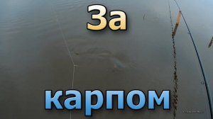 Ловля карпа на резинку. Рыбалка на озере. 24 часа на природе.