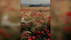 в каждом из нас есть частичка России