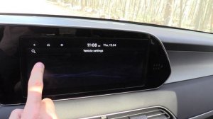 2021 Hyundai Palisade. Start Up, Engine, and In Depth Tour.