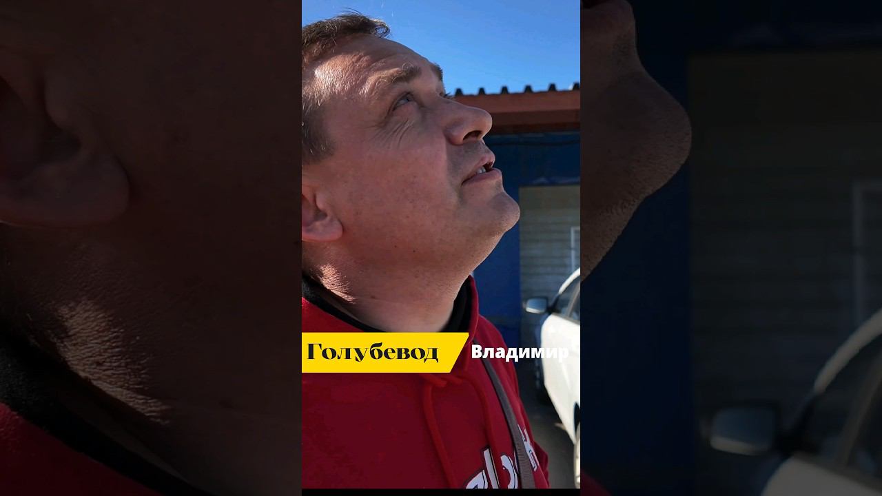 Стих о БОЙНЫХ голубях.Владимир. #голуби #pigeon смотреть онлайн