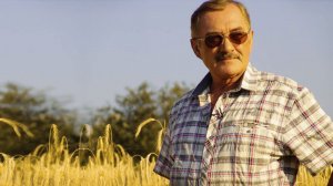 Владимир Мегре о кедре