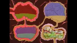 Щекотка и царапка