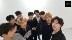 [Stray Kids] It's been a while since we've been together  [28Jul18]