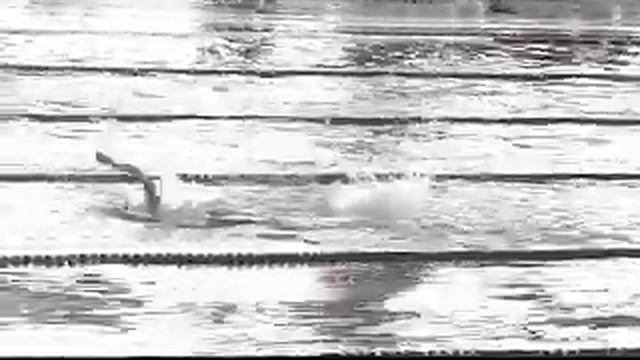 gara-nuoto