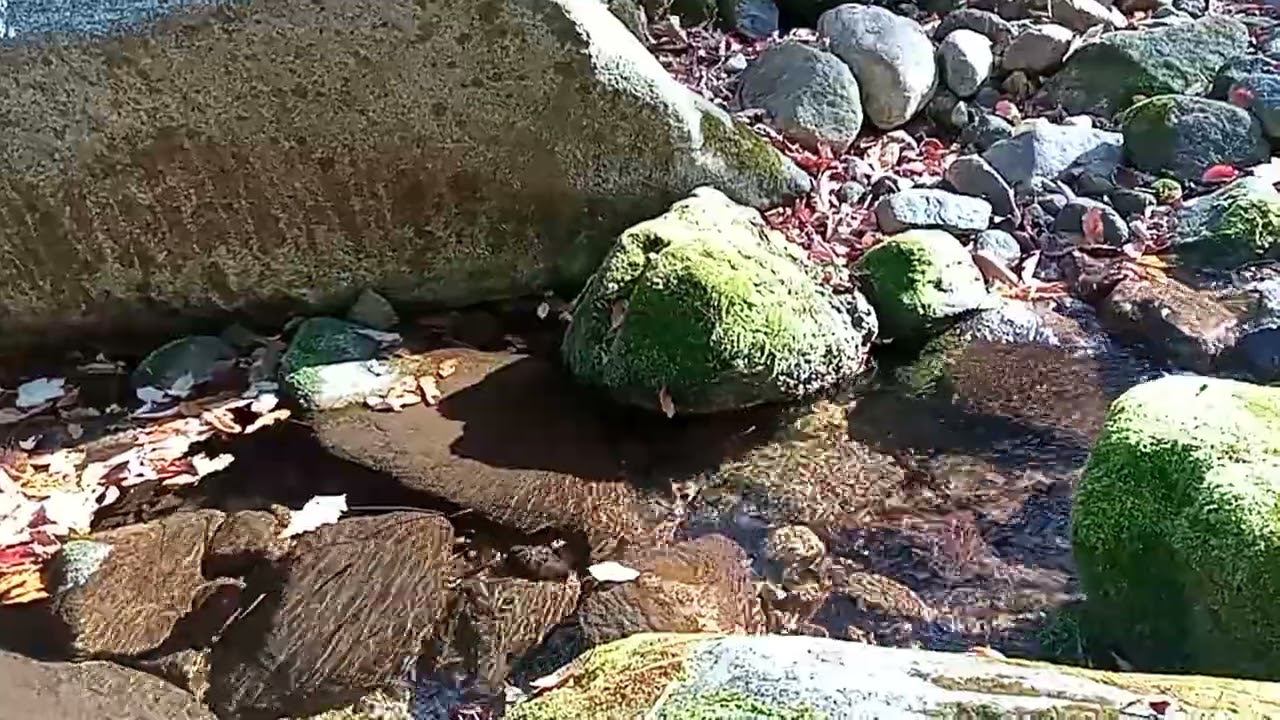 СВЯТАЯ ВОДА. Физические свойства. Как ее заряжать и использовать. HOLY WATER. How to charge and use.