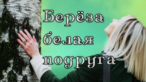 Берёза белая подруга. Хиты 70х