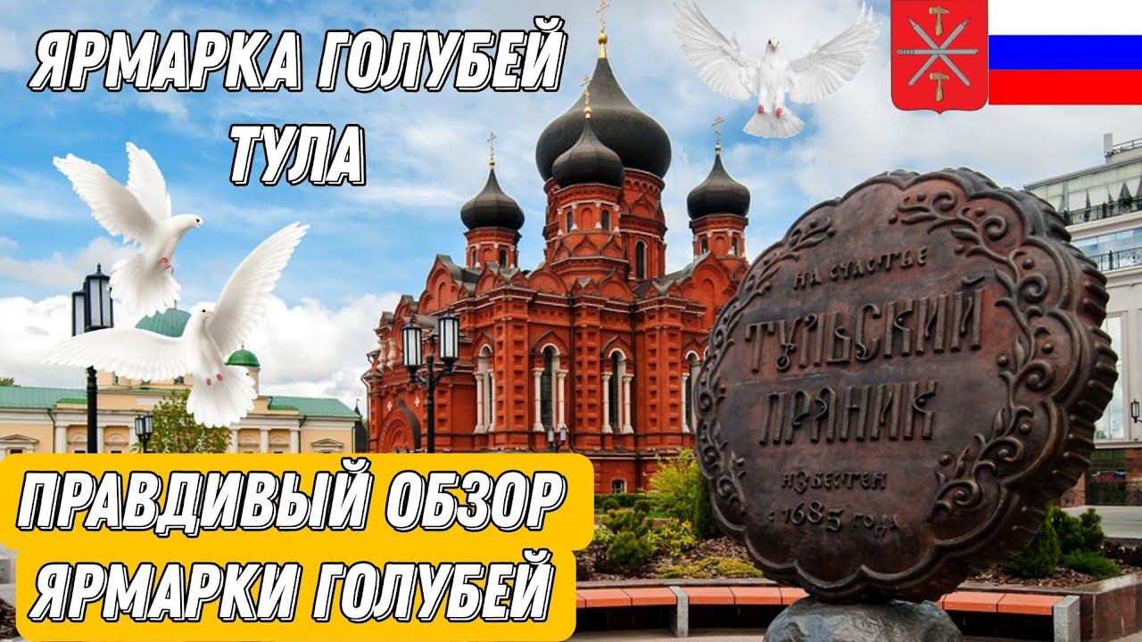 Ярмарка голубей Россия Тула.Это не ярмарка-это барыжный дворик.Люди злые, не приветливые,не советую.