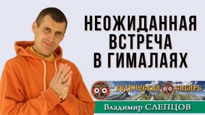 Неожиданная встреча в Гималаях