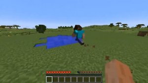 WHAT MINECRAFT HOW