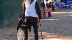 Элита Урала Зидан ПРК 21.09.24.ЦВЕО