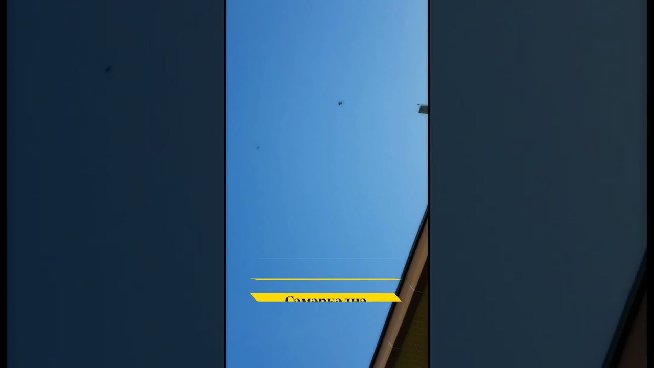 МАСТЬ "КУЙИ" САМАРКАНДСКИЙ БОЗИНГАР "ИГРОВЫЕ ГОЛУБИ" ГОЛУБИ ДРЕВНЕГО САМАРКАНДА. ГОЛУБИ УЗБЕКИСТАНА! смотреть онлайн