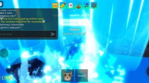 играю в игру с котиками