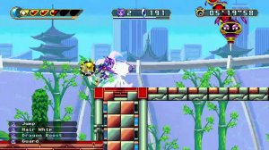 Freedom Planet 2 Avian Museum