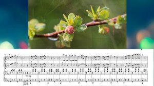 R.Beau. Micmacs a la gare.mp4