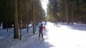 Полина на собачьей упряжке  Сыктывкар