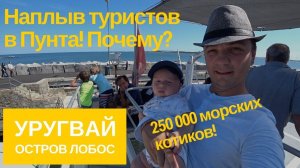 Уругвай. Плывем на остров Лобос, крупнейшую колонию морских котиков. Сезон в Пунта дель Эсте.