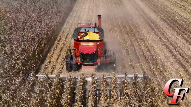Worst Corn Harvest Ever Is Done!!! Corn Harvest #7: 9/15/22