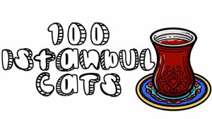 100 Istanbul Cats | ПРОХОЖДЕНИЕ ОДНИМ ВИДЕО