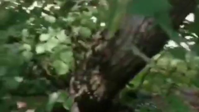 Спецназ Ахмат Рус Воложанин Александр позывной Якудза.
5.08.2023г на третьем контракте я получил вто