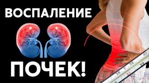 Что такое пиелонефрит? Как диагностировать и вылечить?