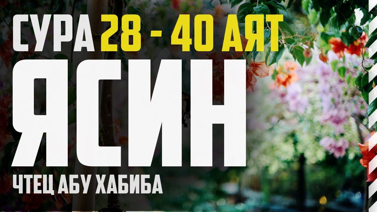 Cура Ясин 28-40 аят. Абу Хабиба смотреть онлайн